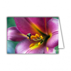 Greeting card | Lilly